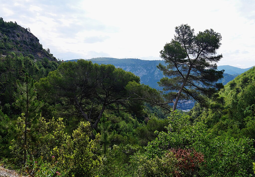 Peinture Alpes-Maritimes