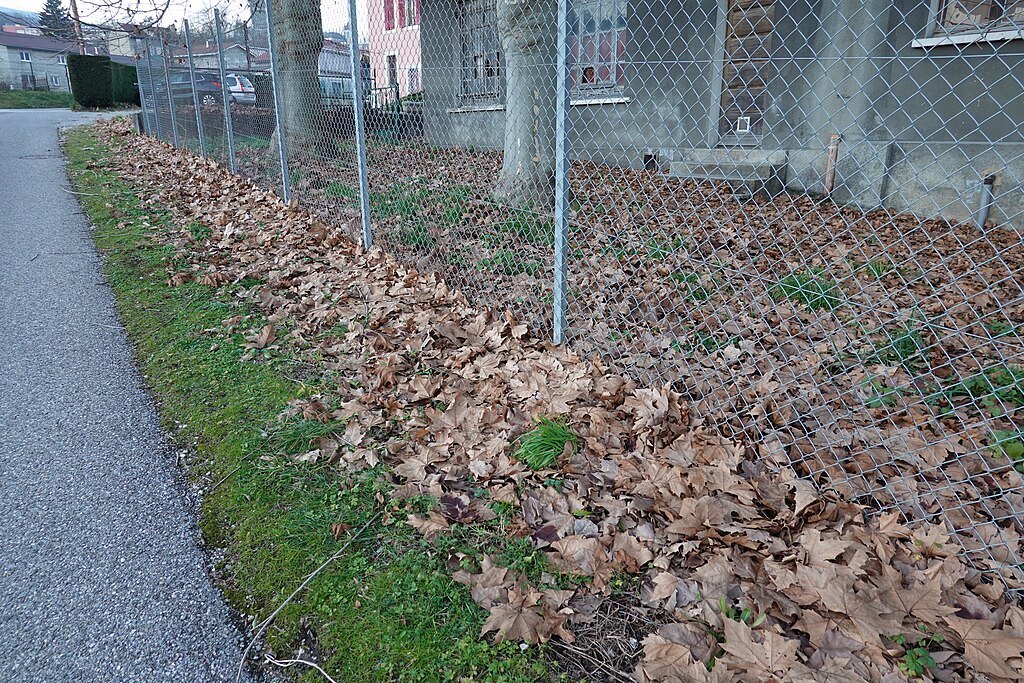 Peinture Bellegarde-sur-Valserine